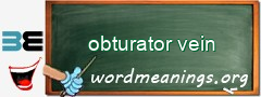 WordMeaning blackboard for obturator vein